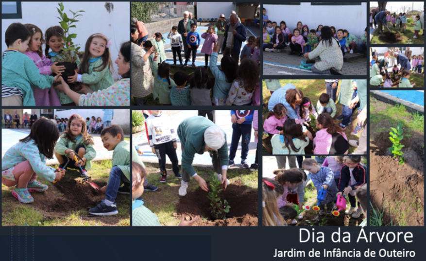 ecoescolas1